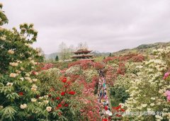 不负春光，春游踏青季，团建共未来